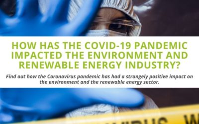 How has the COVID-19 Pandemic Impacted the Environment and Renewable Energy Industry?