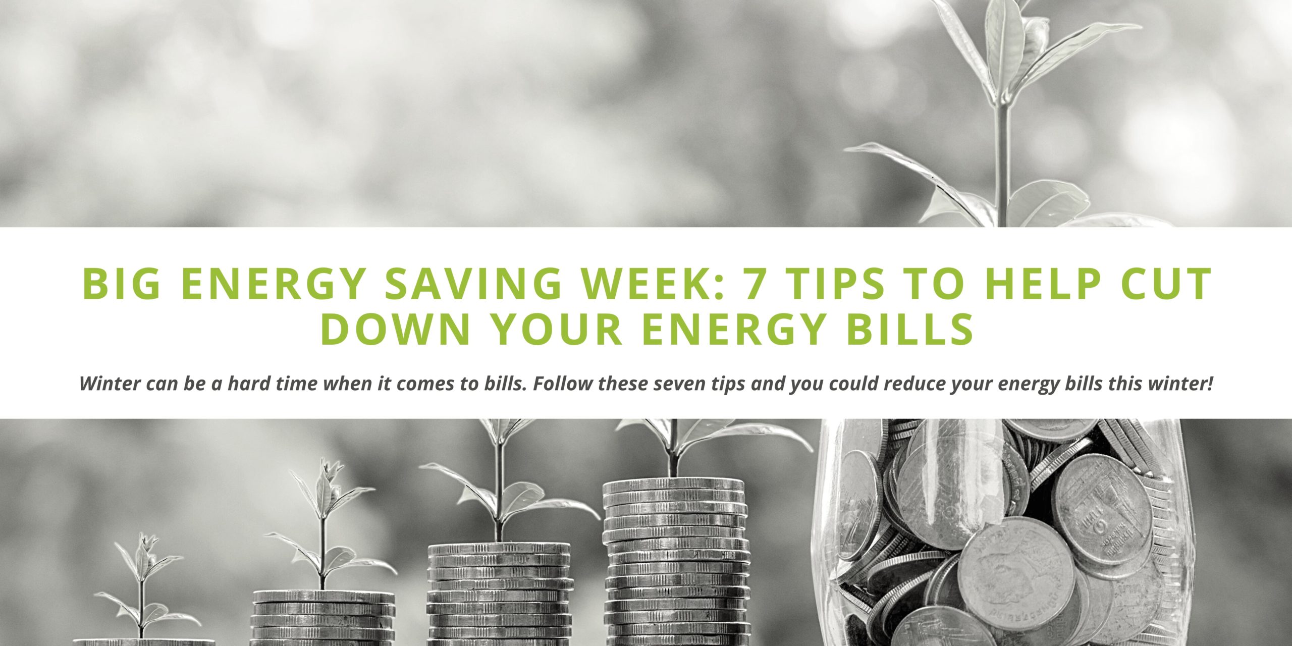 Big Energy Saving Week